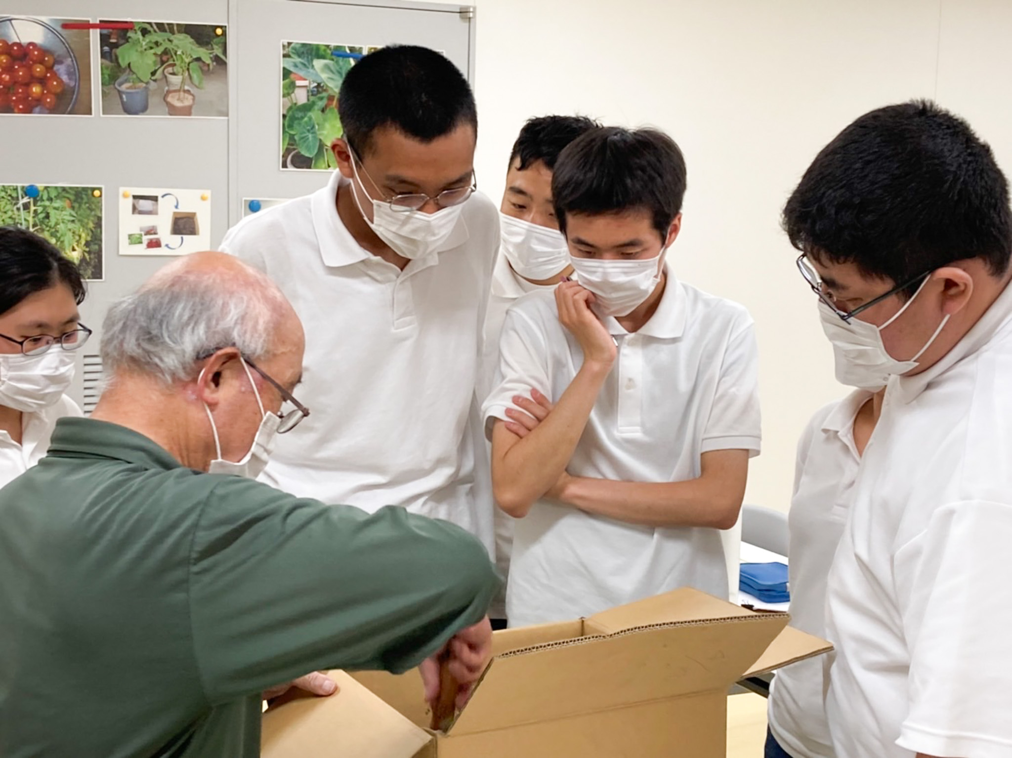 総合学習